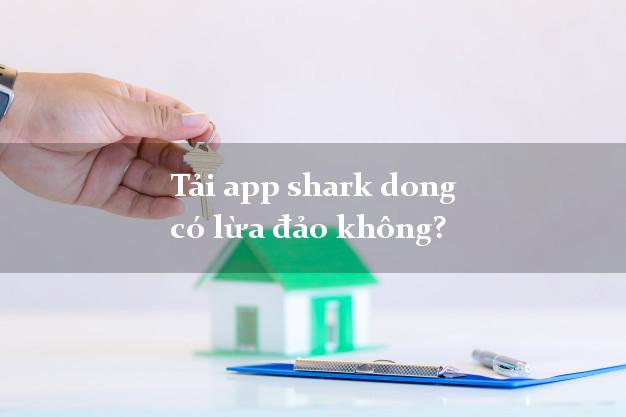 Tải app shark dong có lừa đảo không?